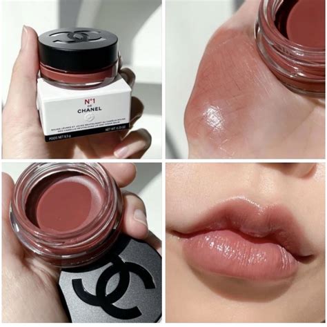 chanel lip and cheek healthy pink